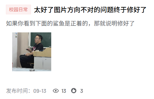 正着的鲨鱼.jpg